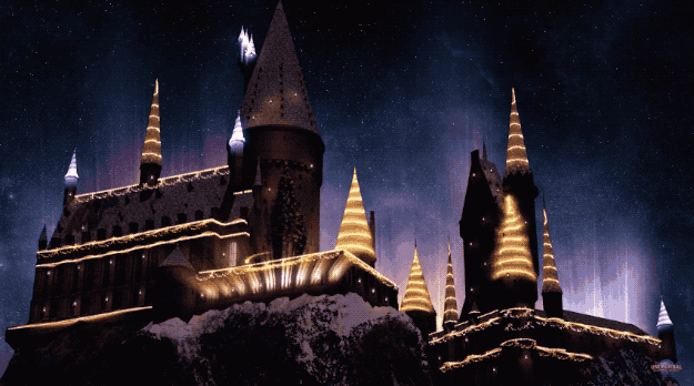 It's Christmastime at Hogwarts — at least in this Austin family's front  yard