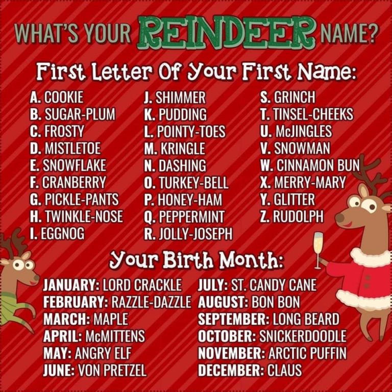 What is Your Reindeer Name - Christmas Countdown Live